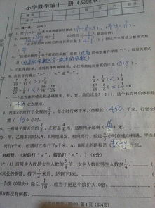 作文幸福六級作文開頭