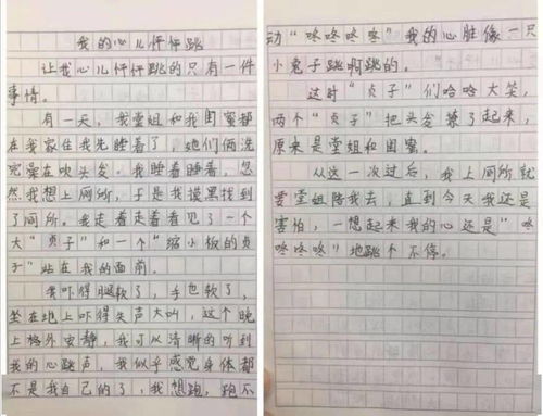 砰砰,心兒,作文,結(jié)尾