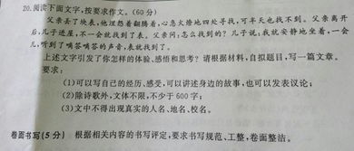 關于父親的高中作文范文(關于父親高中作文)