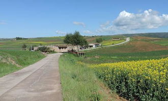 風(fēng)景在路上唯美作文開(kāi)頭