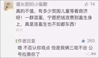 救助流浪貓的作文開頭