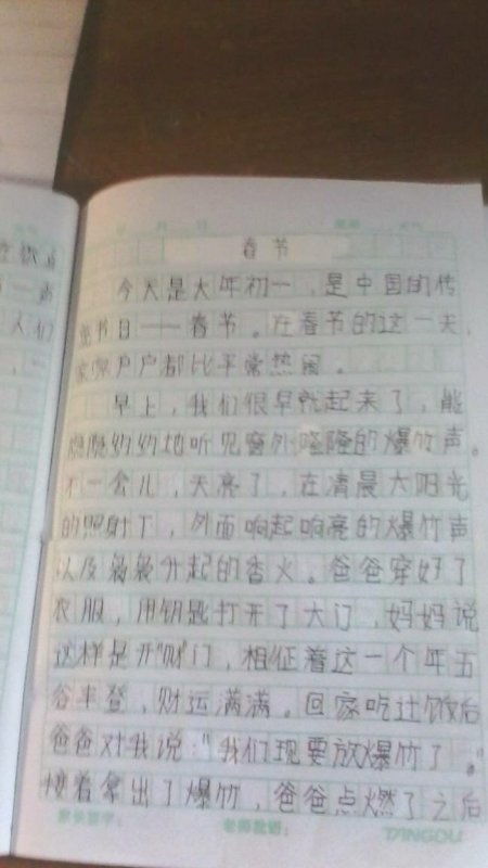 形容春節(jié)的作文開頭