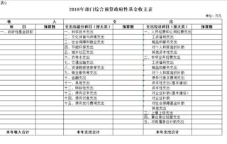 會(huì)議經(jīng)費(fèi)預(yù)算報(bào)告(預(yù)算實(shí)習(xí)報(bào)告范例)