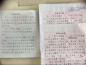 的人,作文,開頭,最崇拜