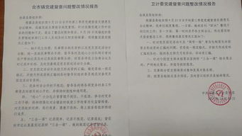 整改落實情況報告(黨組整改落實情況報告)