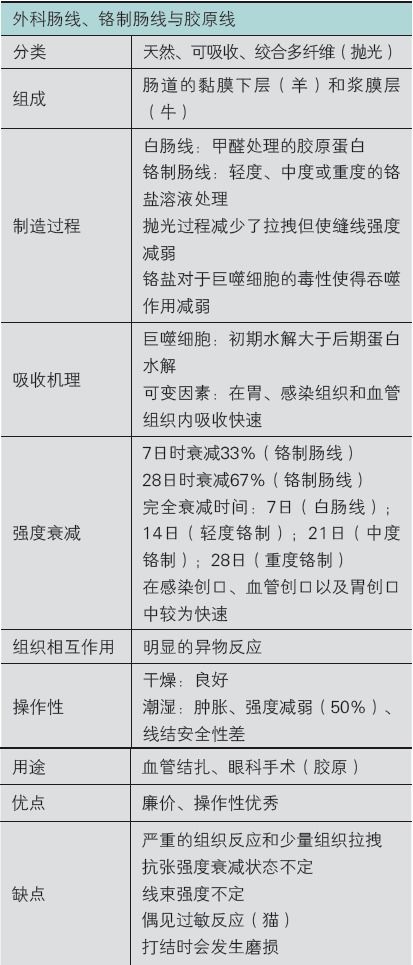 個人優(yōu)點和缺點總結(個人總結缺點和不足)