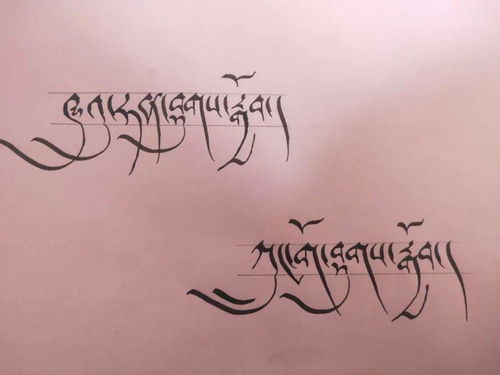 關(guān)于懂事的句子(關(guān)于懂事的作文)