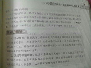我的老師作文600字比喻開頭