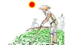 珍惜糧食的作文開頭