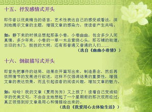 小學(xué)作文的開(kāi)頭80字