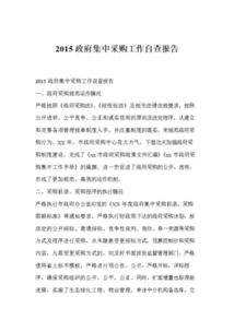 政府集中采購工作的自查總結(jié)報告范文(個人自查總結(jié)報告)