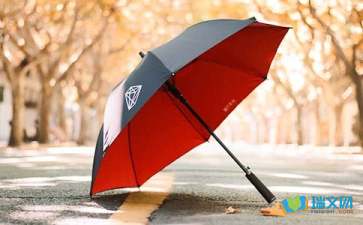 傘的溫暖作文開(kāi)頭