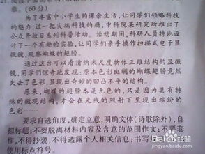 讓我成功的作文開頭