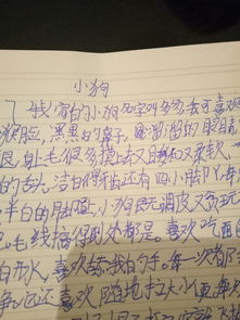 自己家的小狗作文600字作文開頭怎么寫