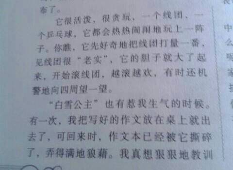 那個可愛的她作文開頭