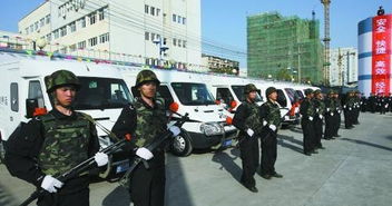 武裝押運年終總結(jié)(武裝押運員工年終總結(jié))