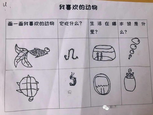 我的動(dòng)物朋友高中作文開(kāi)頭和結(jié)尾