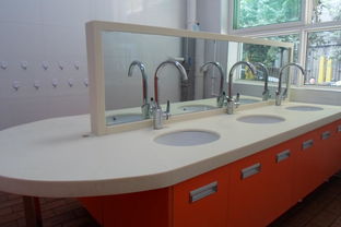 分管后勤園長述職報告(分管后勤園長述職報告)