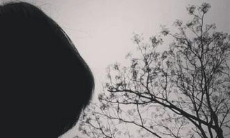 關(guān)于挫折的滋味的作文開頭