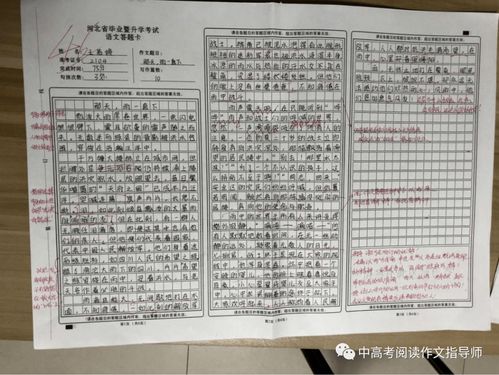 那天_雨一直下作文開頭