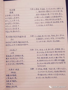 那一次我真后悔作文優(yōu)美開頭和結(jié)尾