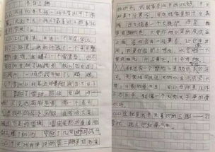 先聞其聲法開(kāi)頭的作文