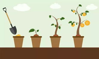 小學成長的經(jīng)歷作文600字作文開頭