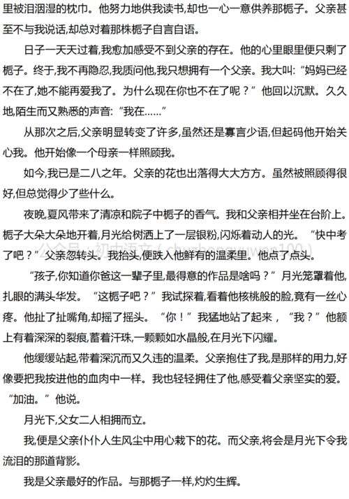 最好的,作文,開(kāi)頭,作品