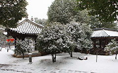 第一場雪作文開頭250字