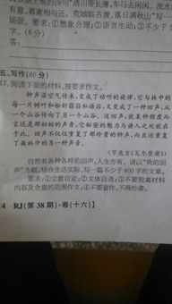 寫是寫環(huán)境的作文開頭