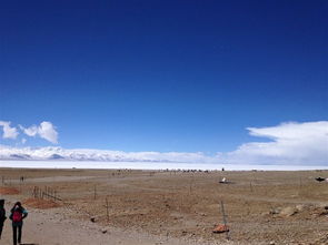 總是忘不了那片風(fēng)景作文開(kāi)頭