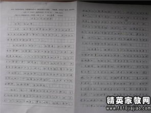 如何指導(dǎo)學(xué)生寫好作文的開頭