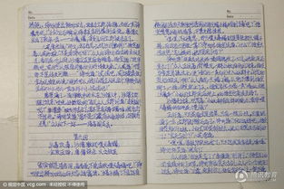 優(yōu)秀作文開頭結(jié)尾摘抄寫人記事