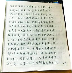 五級愛就在我身邊作文600字作文開頭