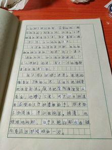 反思的作文開(kāi)頭和結(jié)尾怎么寫(xiě)100字