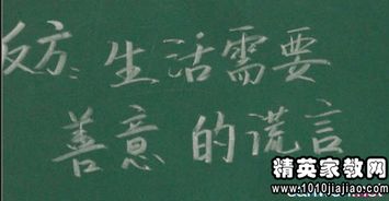 別人對你善意的謊言的作文開頭結(jié)尾
