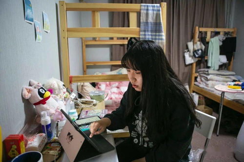 關(guān)于春節(jié)軼事話題的作文(春節(jié)軼事作文)