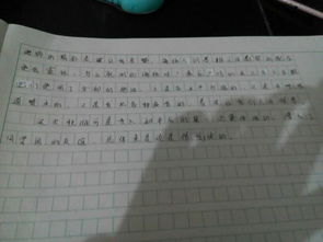 秋游作文常用的開頭和結(jié)尾