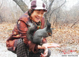 人與動物自然和諧作文(人與自然和諧共生作文)