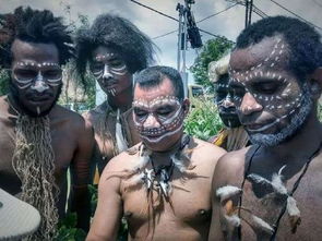 我的尋島夢(夢尋)