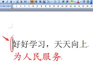 每天做一件好作文開頭