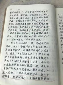 贊人作文開(kāi)頭