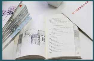 我要做一個(gè)有用的人作文開頭