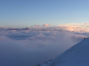 一張照片一份想念作文開(kāi)頭