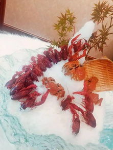 初中奇思妙想的作文開(kāi)頭