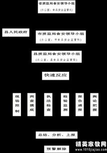 權(quán)力運行的自查報告范文(權(quán)力運行自查報告)