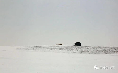 春風(fēng)吹的開頭作文