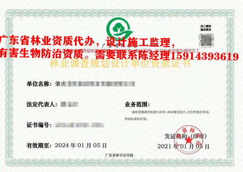 資質(zhì)申請報(bào)告(資質(zhì)申請報(bào)告)