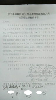 補(bǔ)助資金個(gè)人申請(qǐng)報(bào)告(項(xiàng)目補(bǔ)助資金申請(qǐng)報(bào)告)