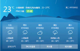 關于大雨的作文開頭